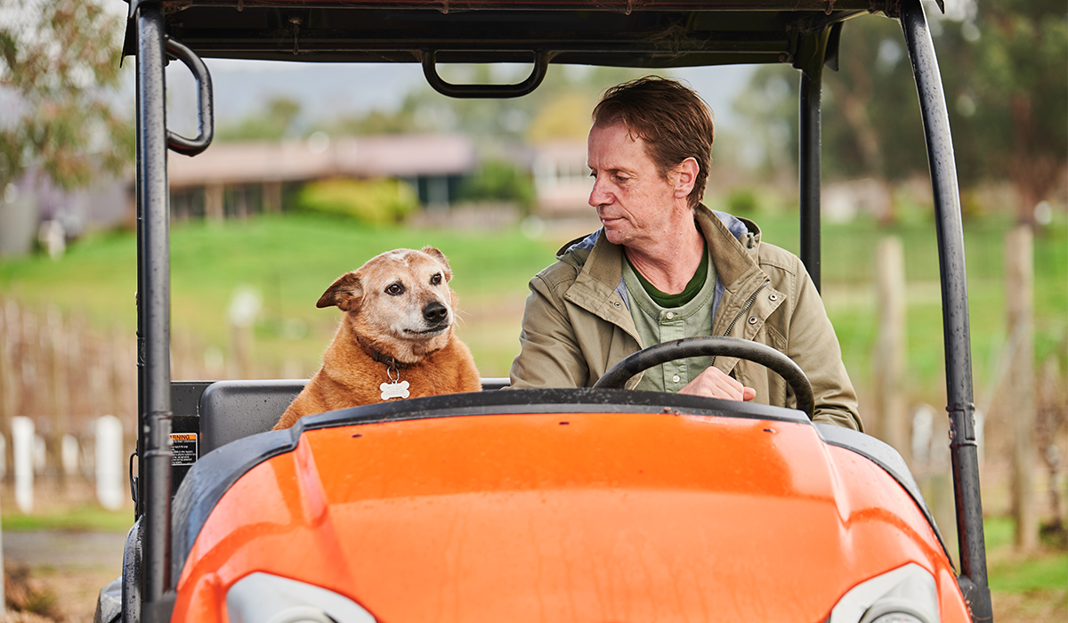 Tom and Trixie in the buggie