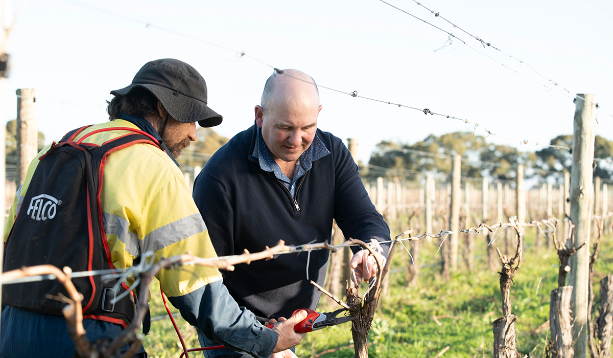 Paul Hotker in the vineyard