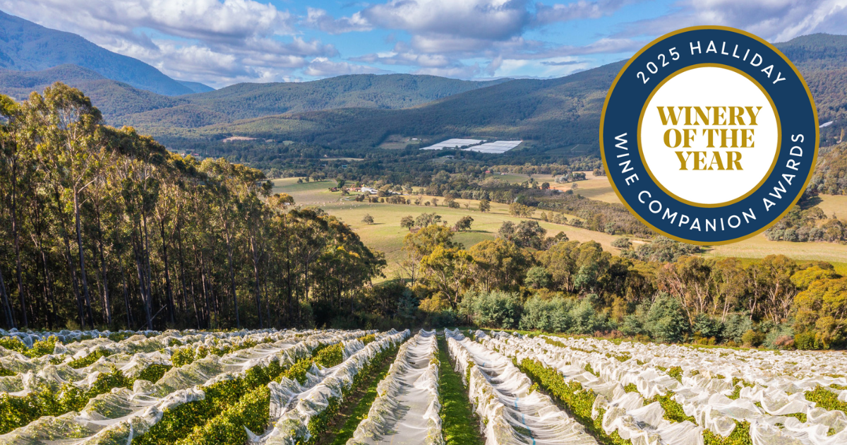 Best Winery of the Year 2025 Giant Steps