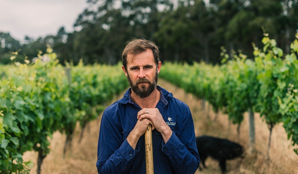 Bart Molony of Vasse Felix