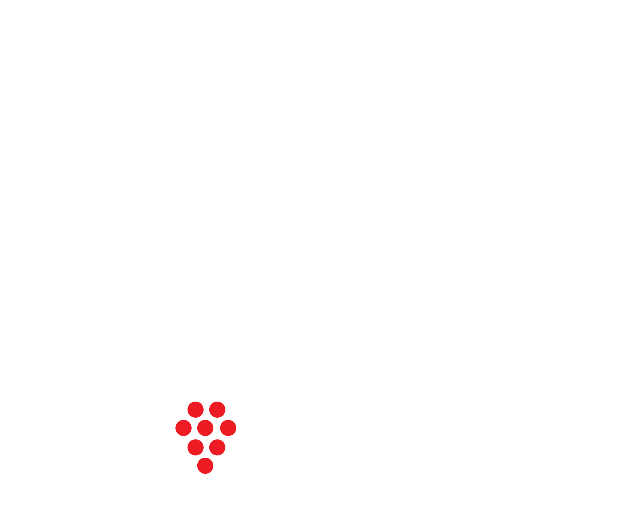 RIEDEL logo