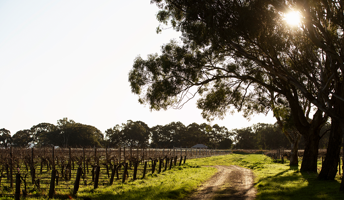 Bleasdale Vineyards