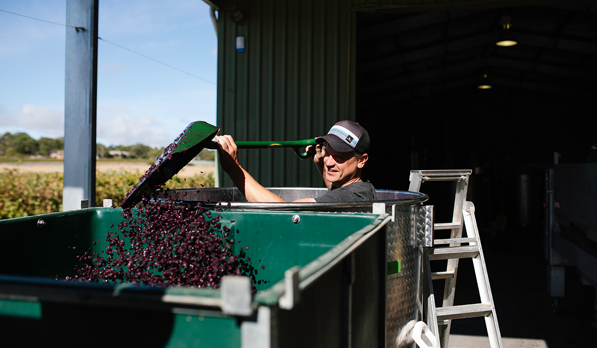 Andre Bondar of Bondar Wines