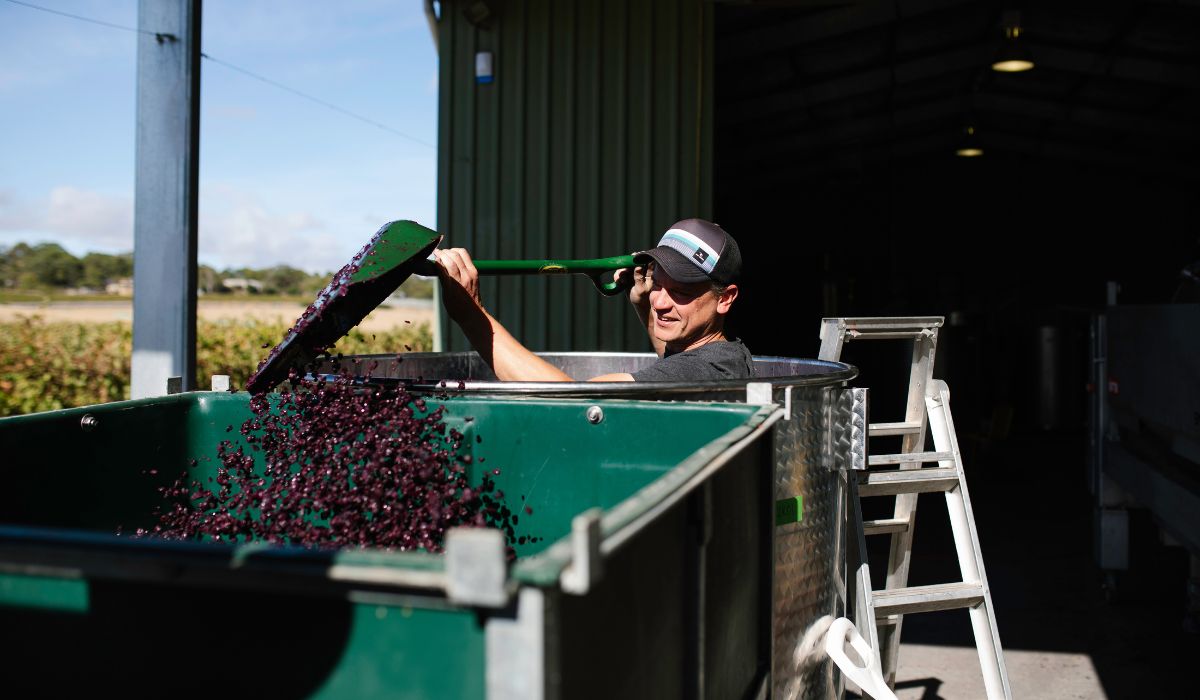 2026 Halliday Wine Companion Awards winners