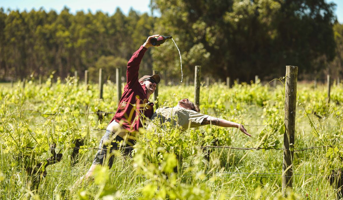 Halliday Wine Companion 2026 Dark Horse Winery of the Year Finalist