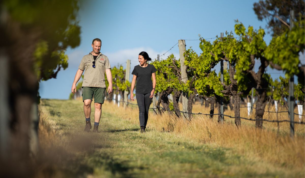 Halliday Wine Companion 2026 Value Winery of the Year Finalist