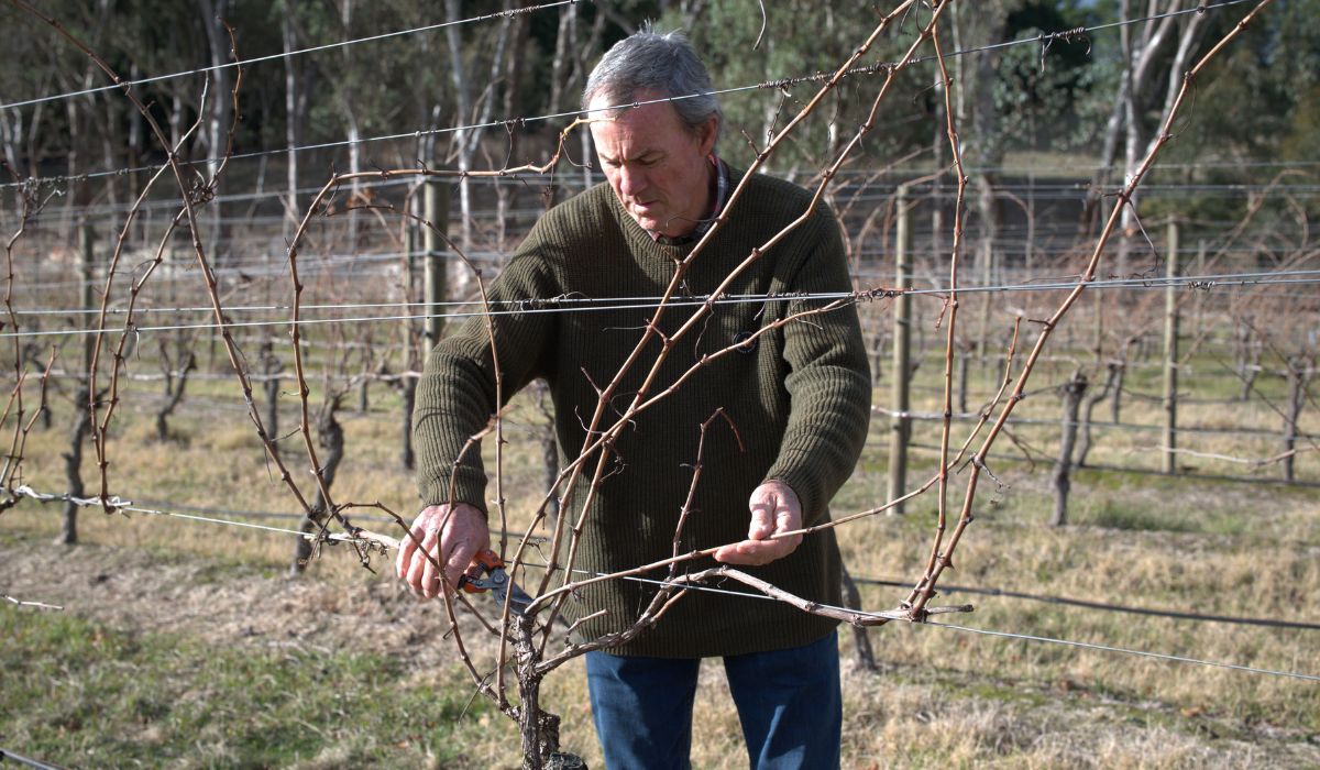 Halliday Wine Companion 2026 Viticulturist of the Year Finalist