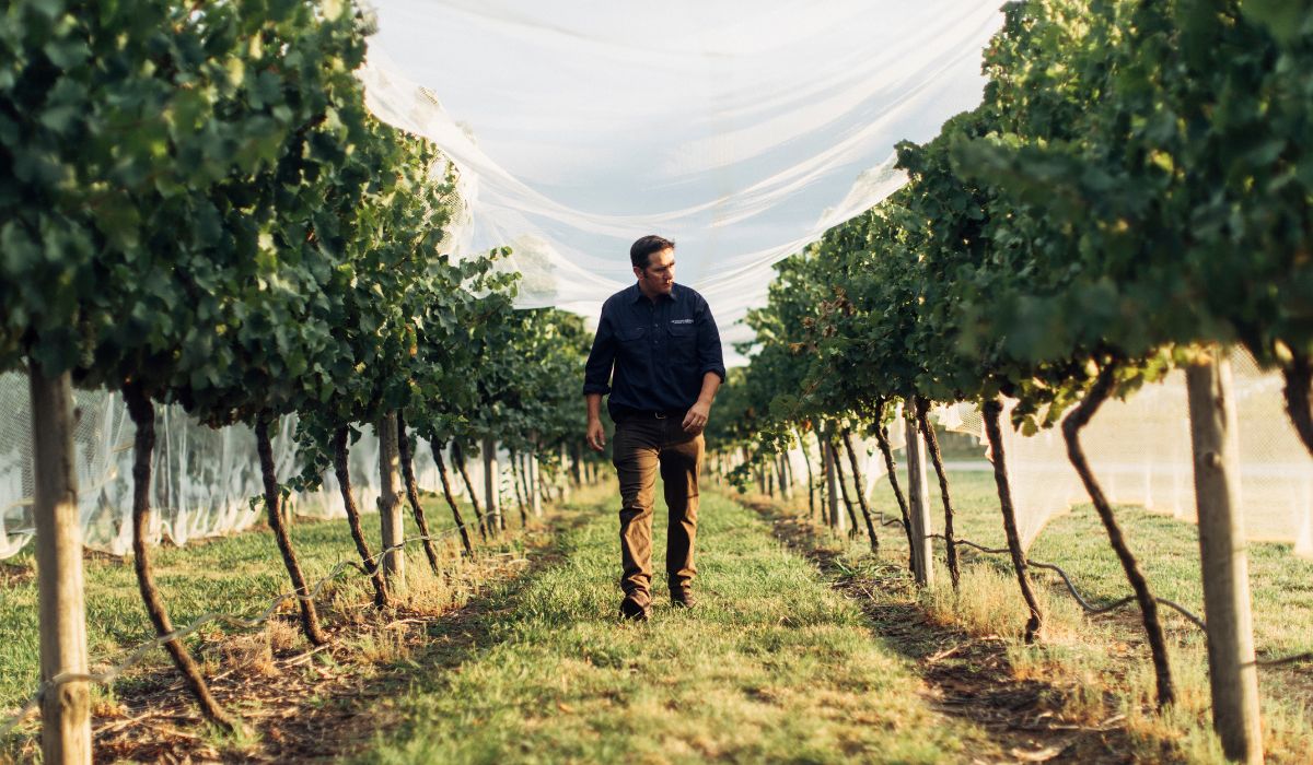 Halliday Wine Companion 2026 Viticulturist of the Year Finalist