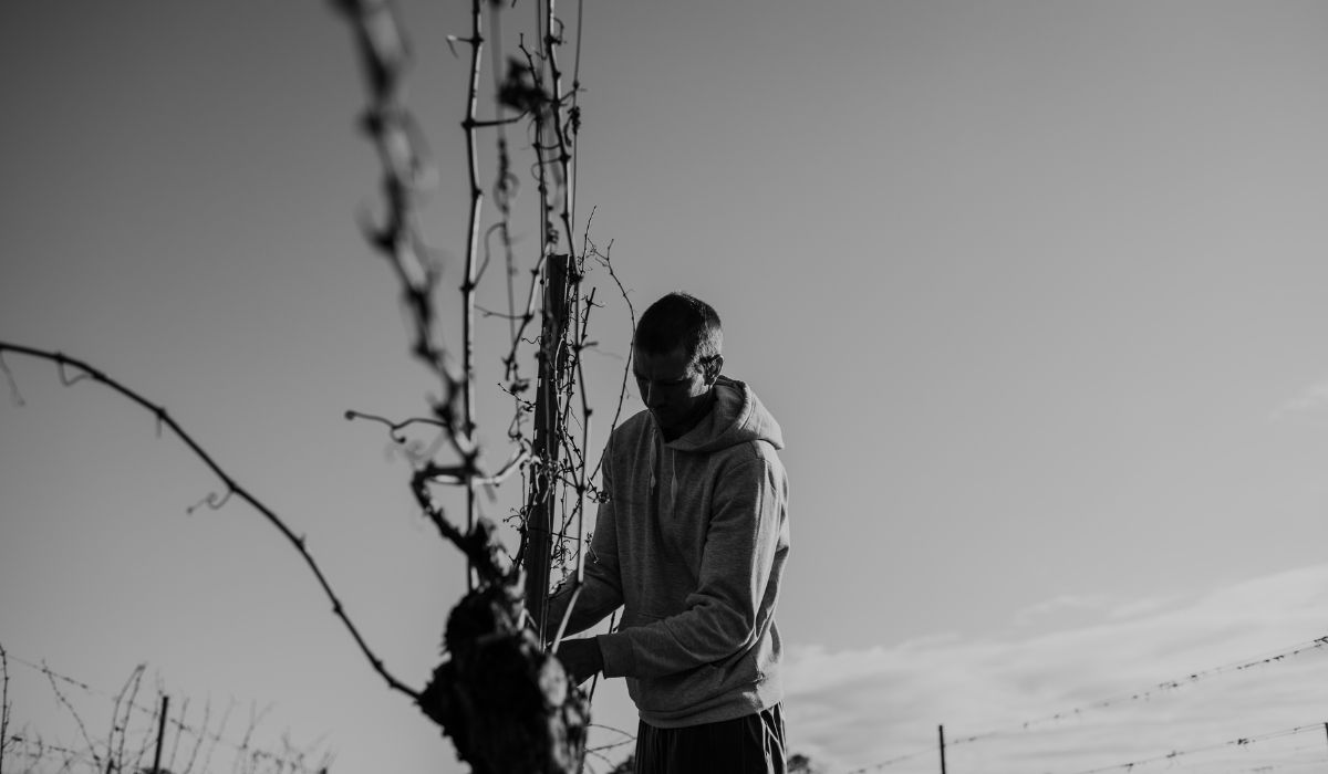 Halliday Wine Companion 2026 Viticulturist of the Year Finalist