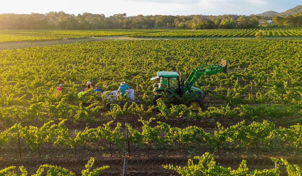 Winery of the Year finalist