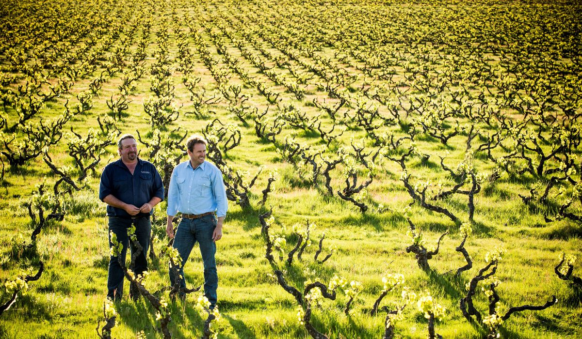 2026 Winery of the Year finalist