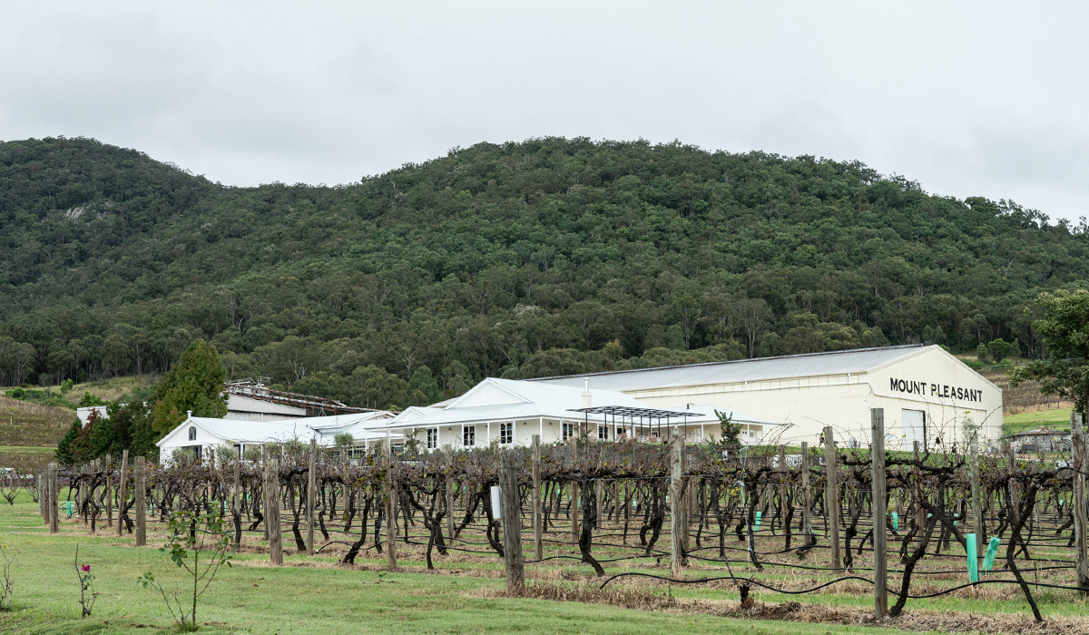 Halliday Top 100 Wineries 2024: Mount Pleasant