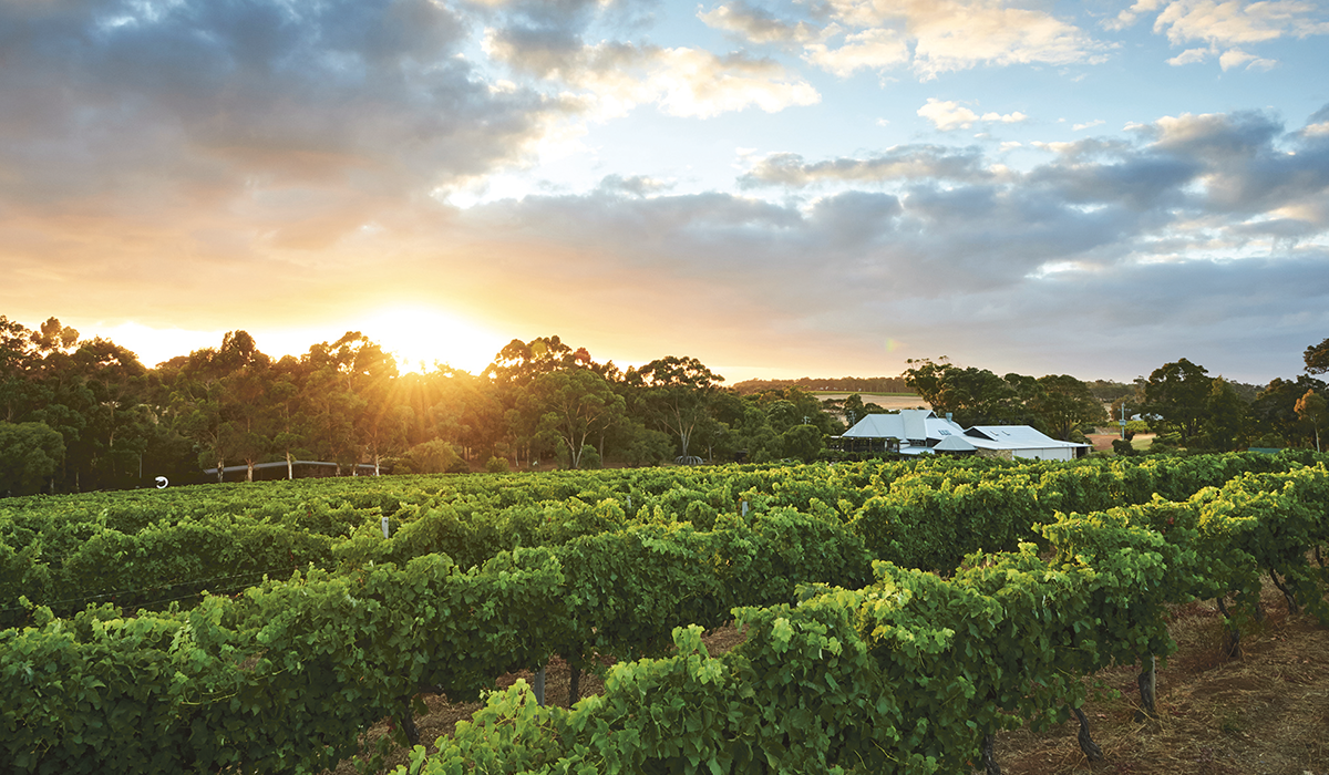 Halliday Top 100 Wineries 2024: Vasse Felix