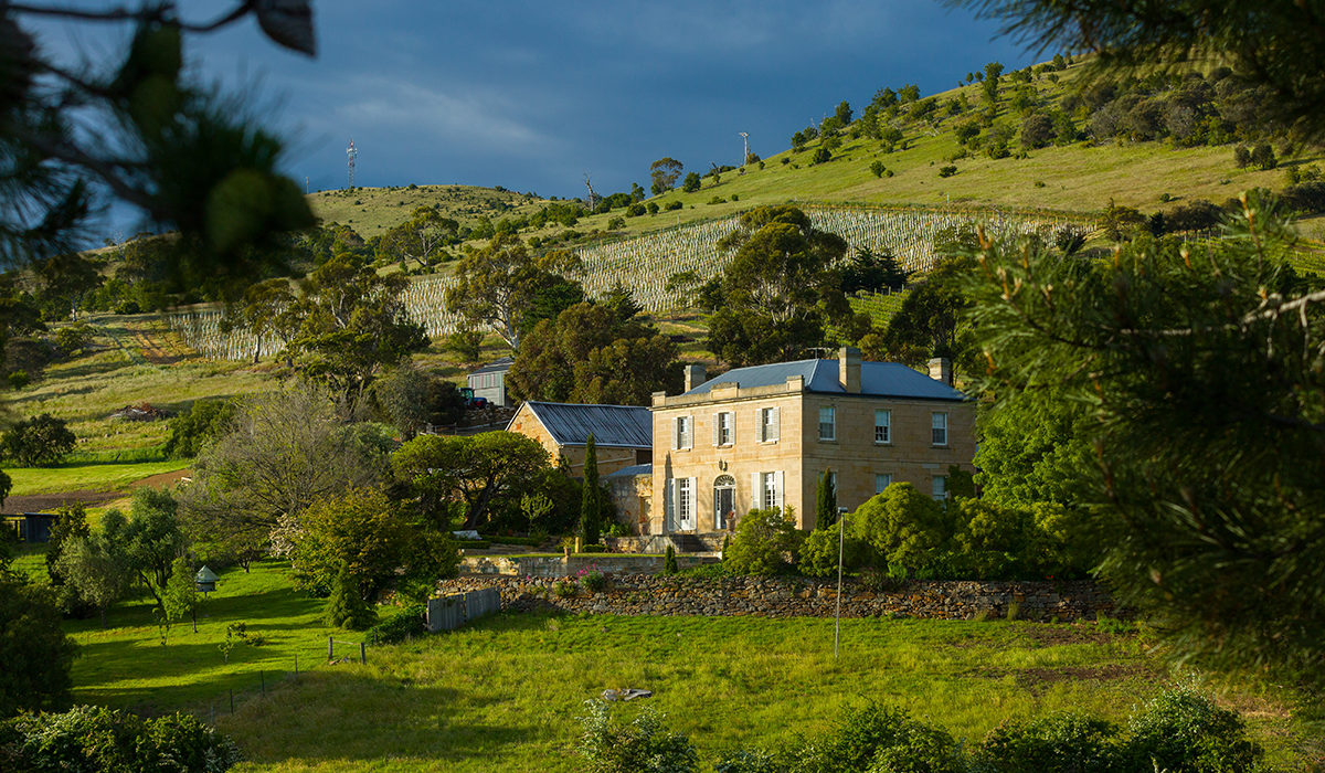 Halliday Top 100 Wineries 2024: Pooley