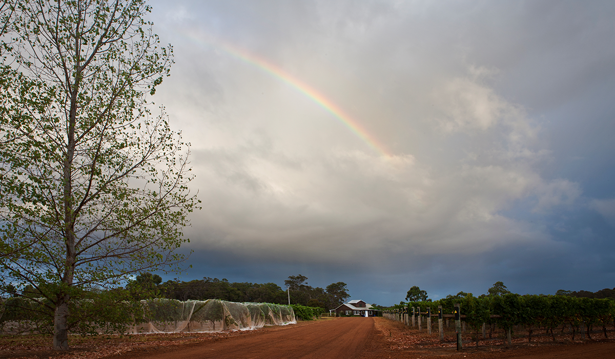 Halliday Wine Companion Top 100 Wineries 2024: Stella Bella