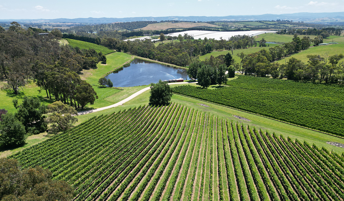 Halliday Wine Companion Top 100 Wineries 2024: Medhurst