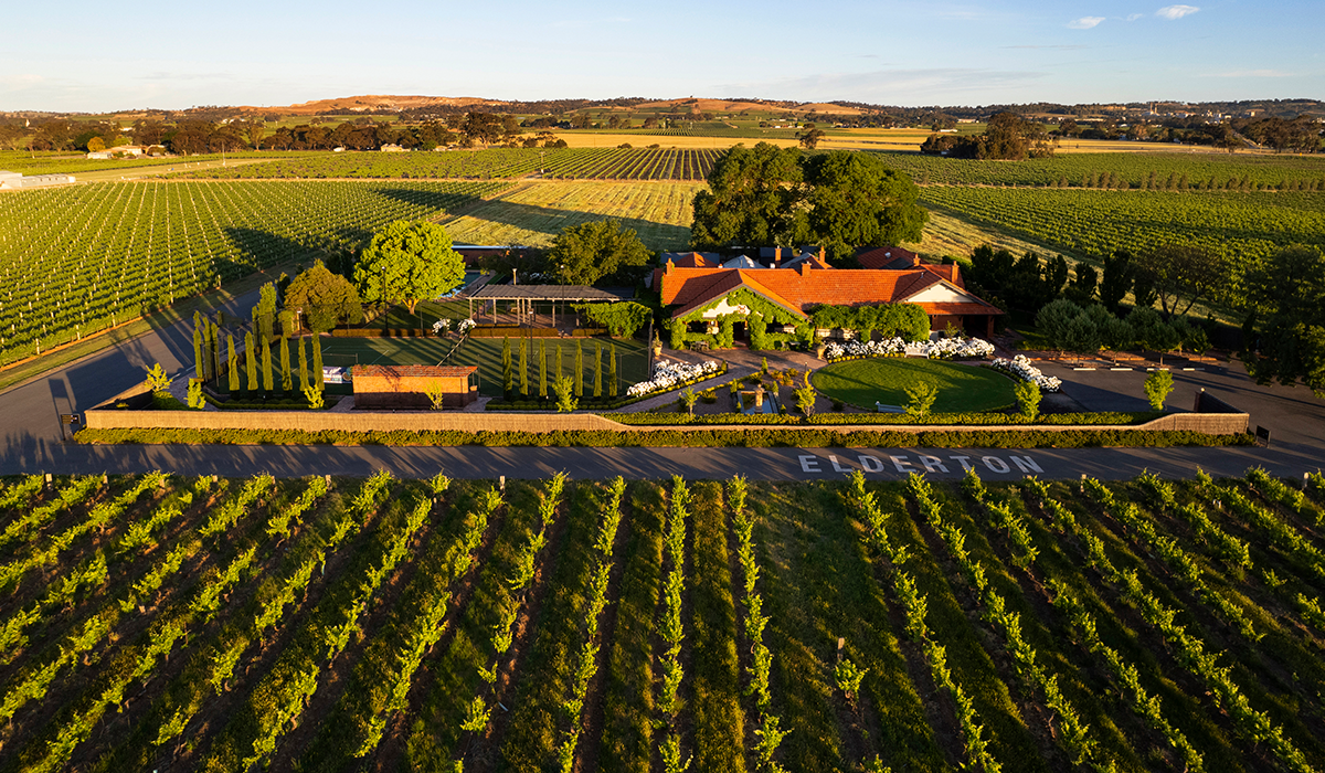 Halliday Wine Companion Top 100 Wineries 2024: Elderton