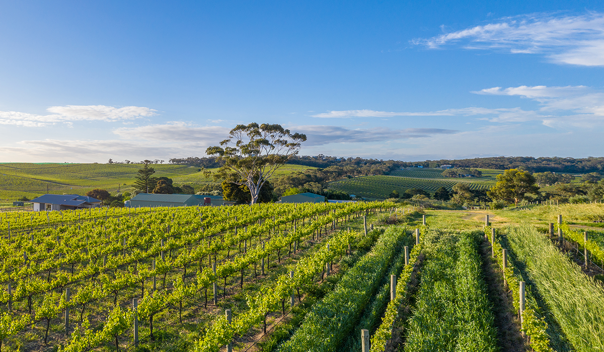 Halliday Wine Companion Top 100 Wineries 2024: Bondar