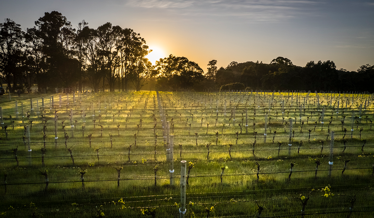 Halliday Wine Companion Top 100 Wineries 2024: Flowstone