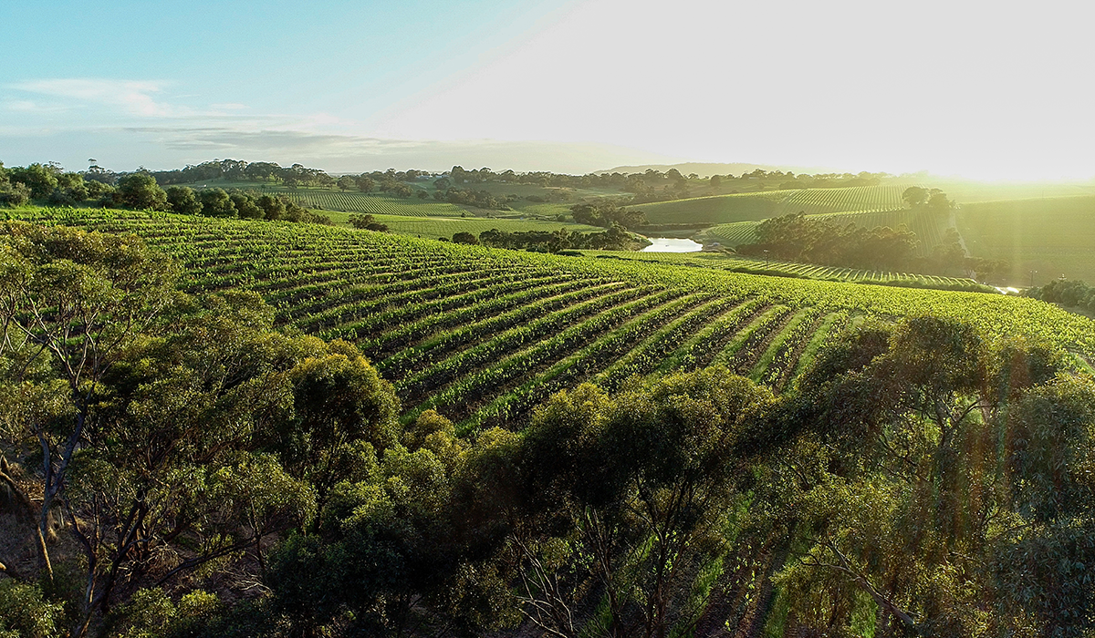 Halliday Wine Companion Top 100 Wineries 2024: Clarendon Hills