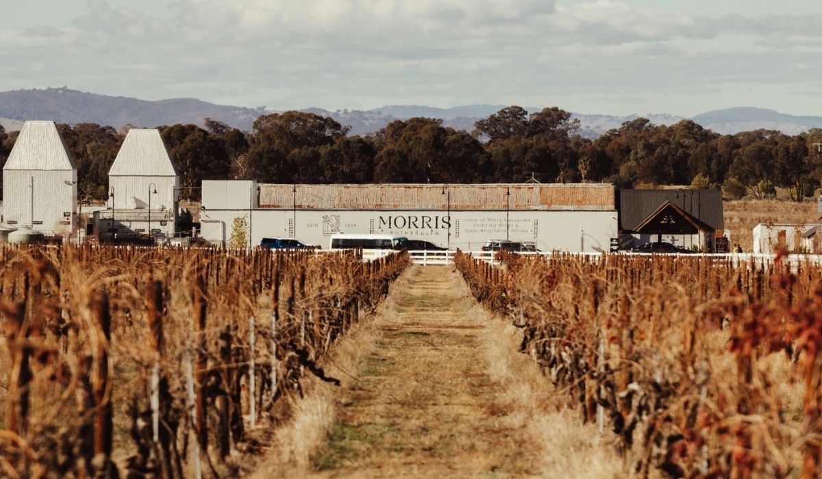 the 100 best wineries australia