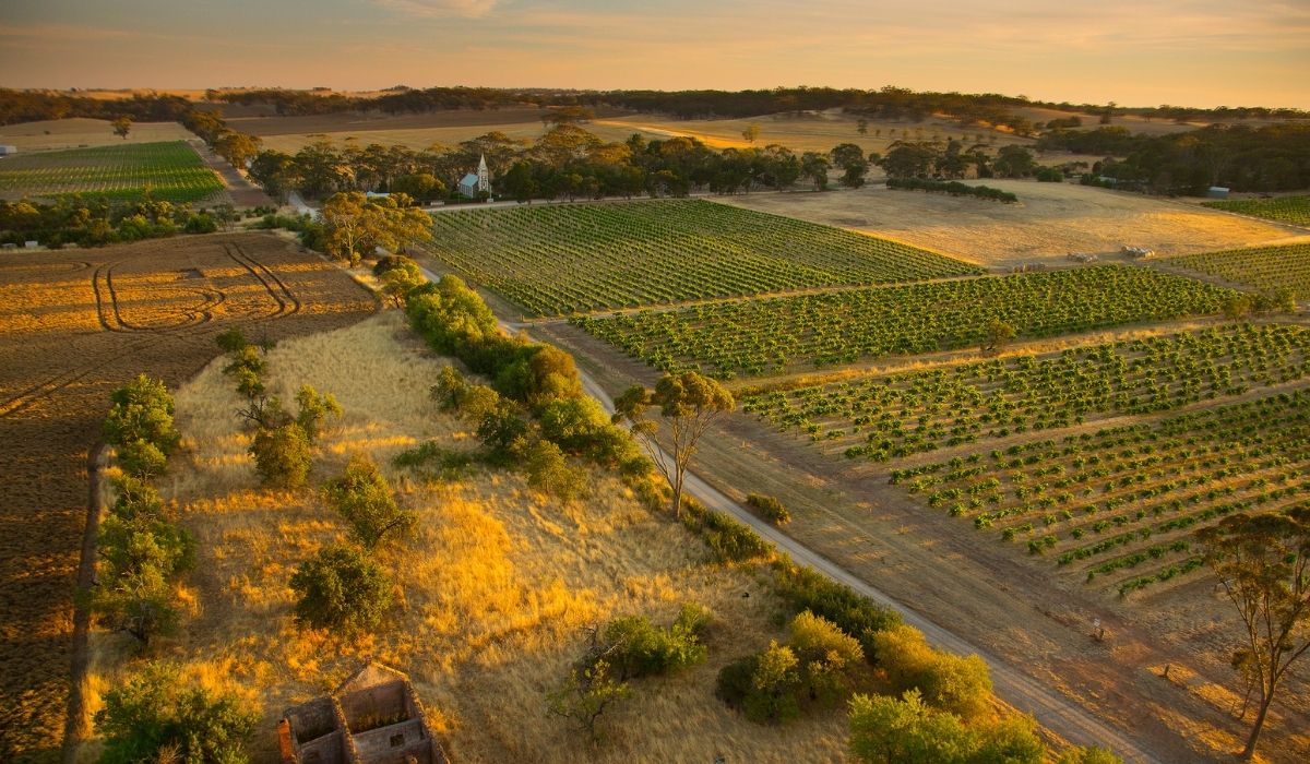 the 100 best wineries australia