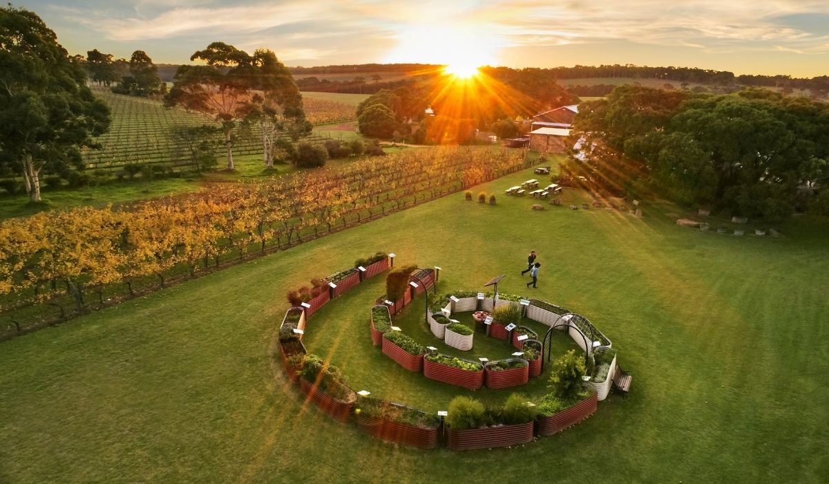 the 100 best wineries australia