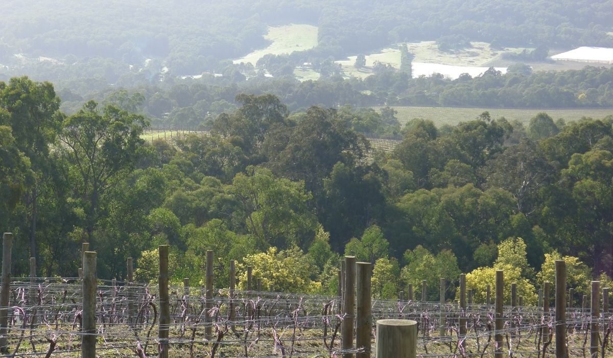 the 100 best wineries australia