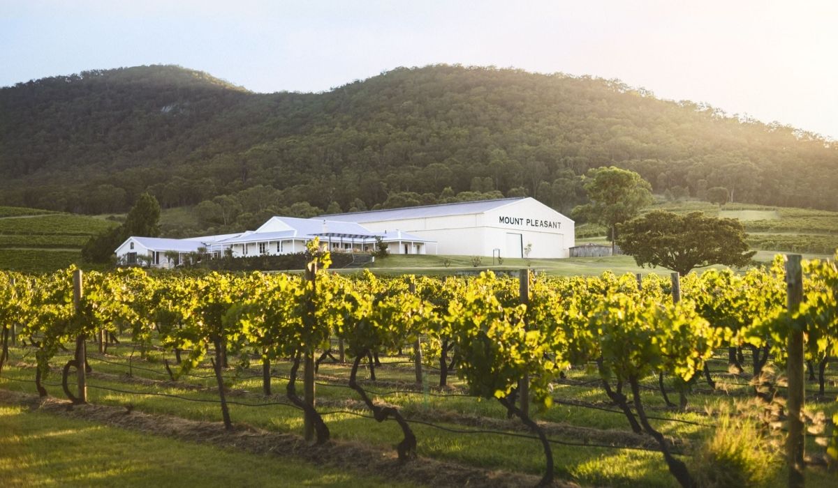 the 100 best wineries australia