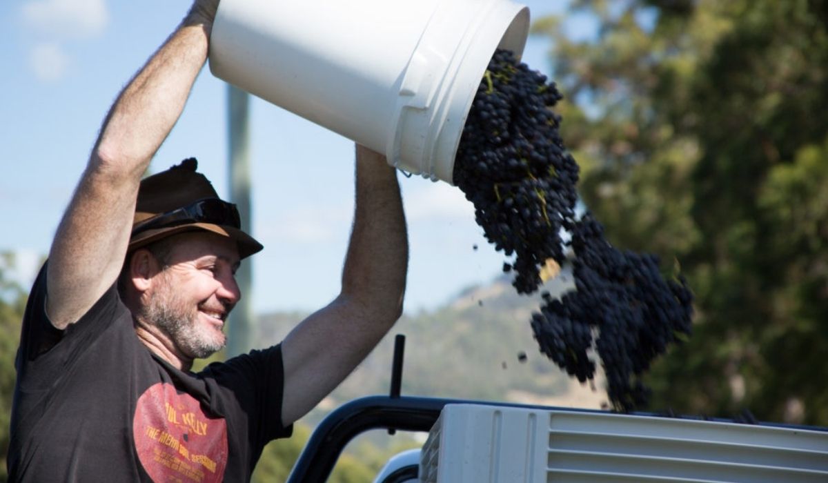 the 100 best wineries australia