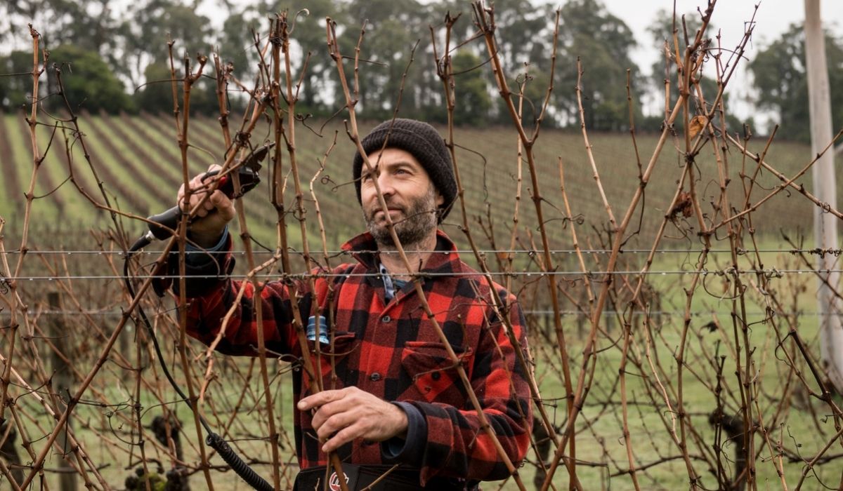 the 100 best wineries australia