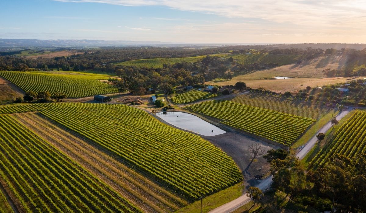 the 100 best wineries australia