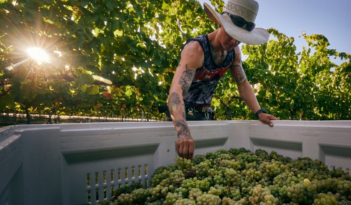 the 100 best wineries australia