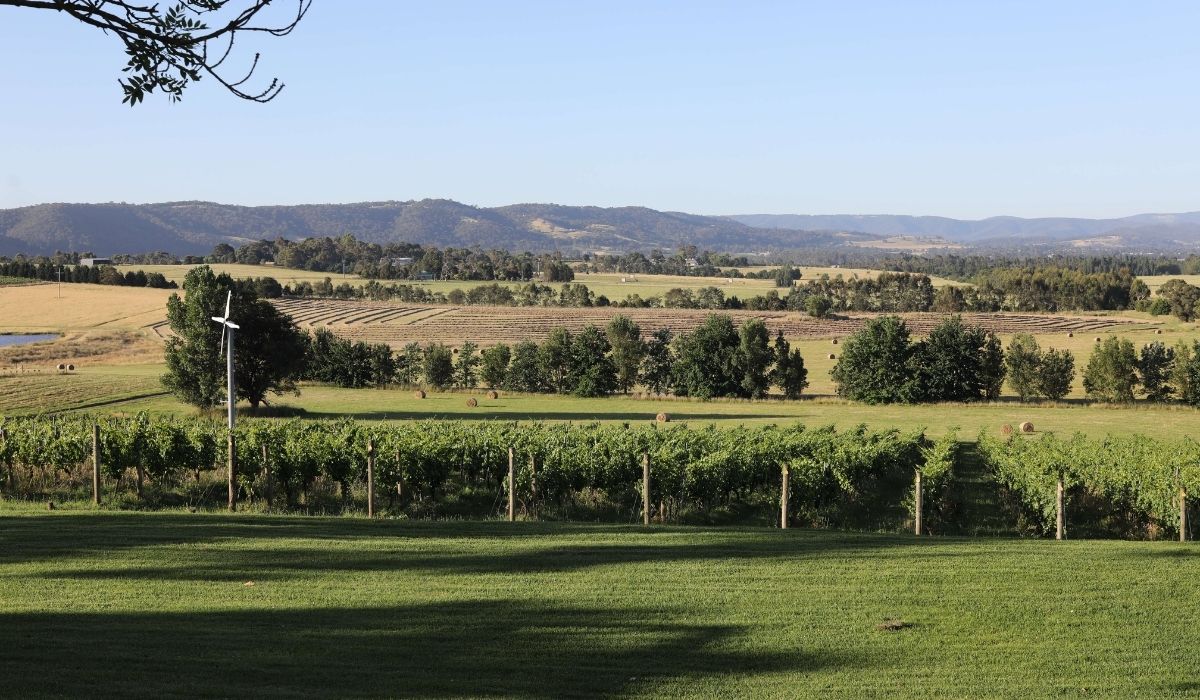 the 100 best wineries australia