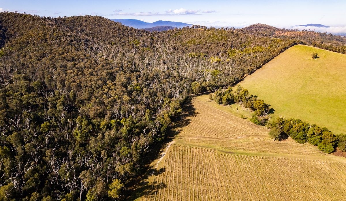 the 100 best wineries australia