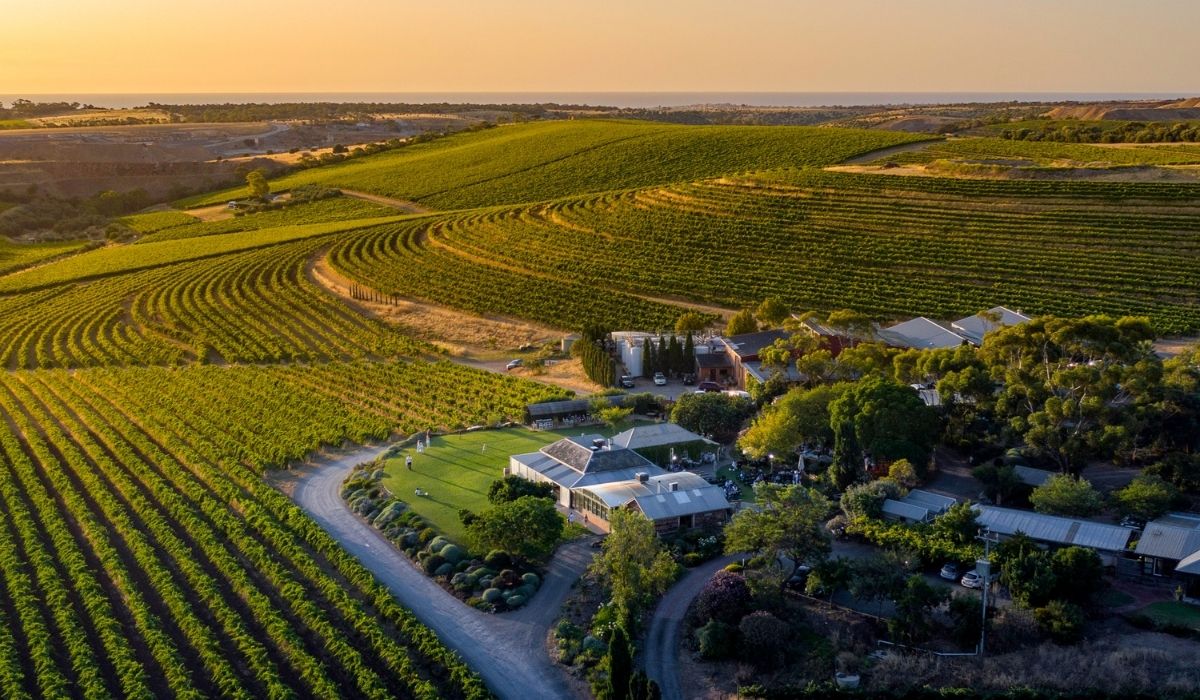 the 100 best wineries australia