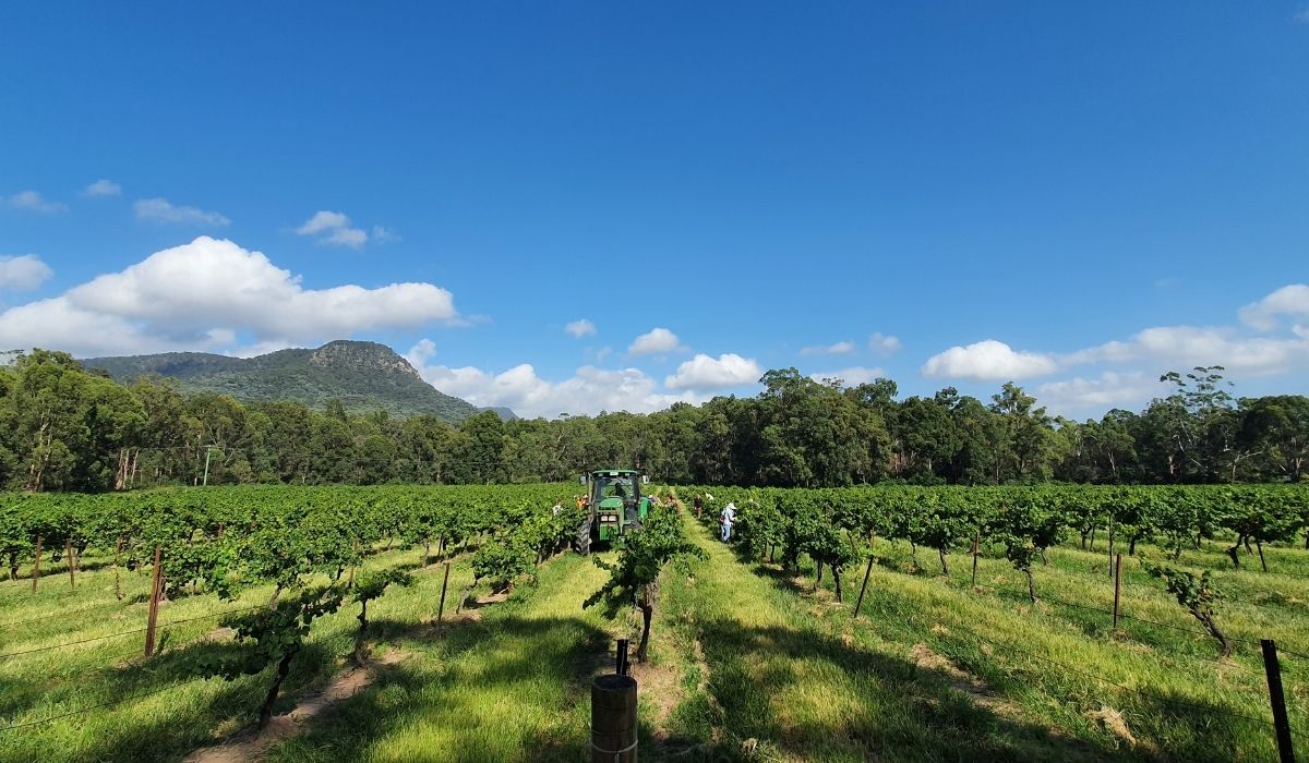 the 100 best wineries australia