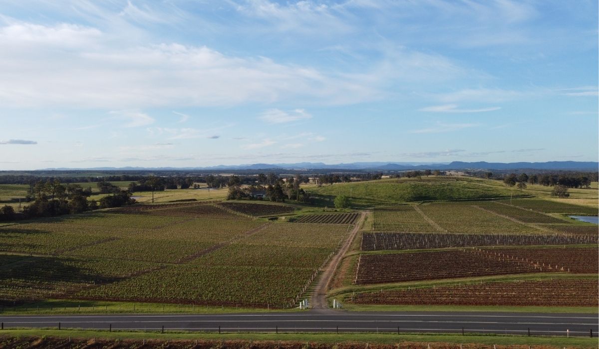 the 100 best wineries australia