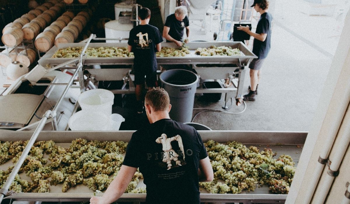the 100 best wineries australia