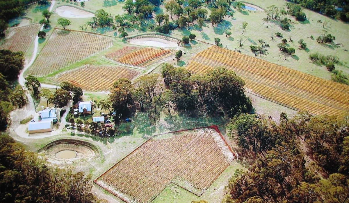 the 100 best wineries australia