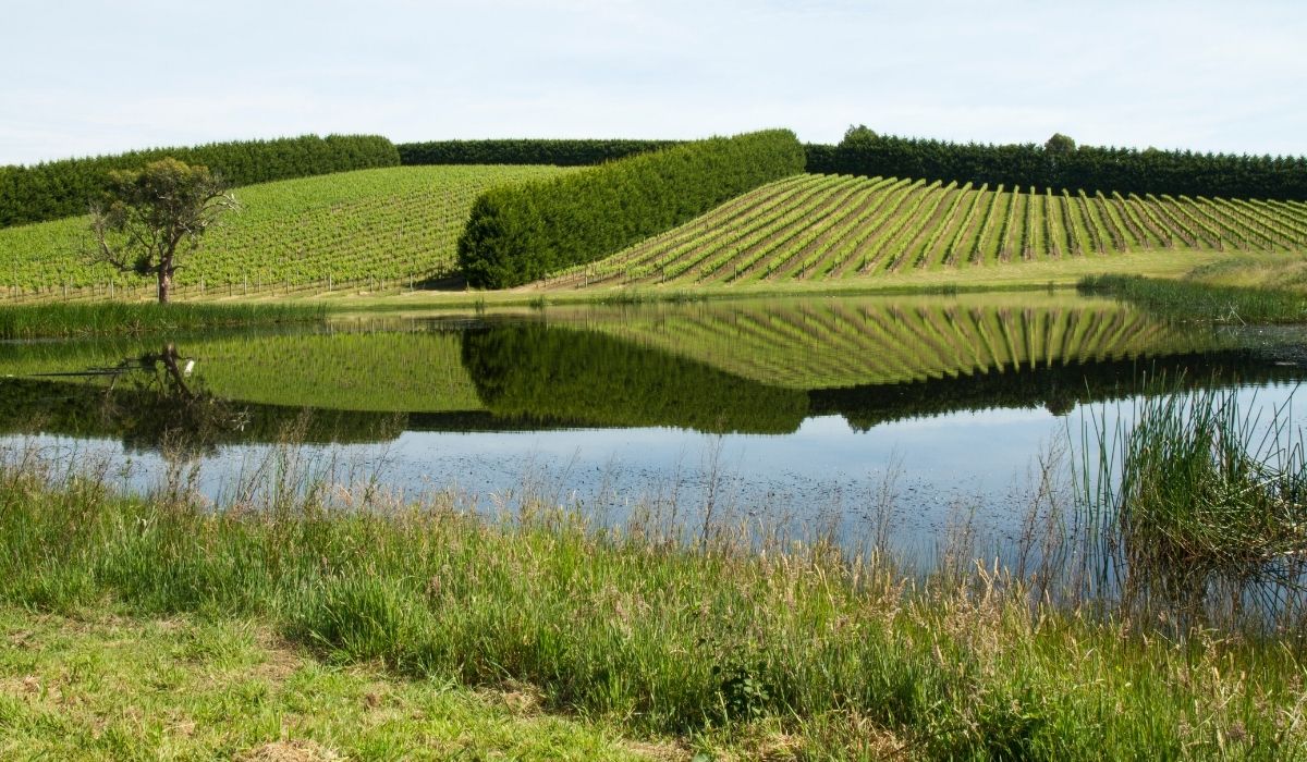 the 100 best wineries australia