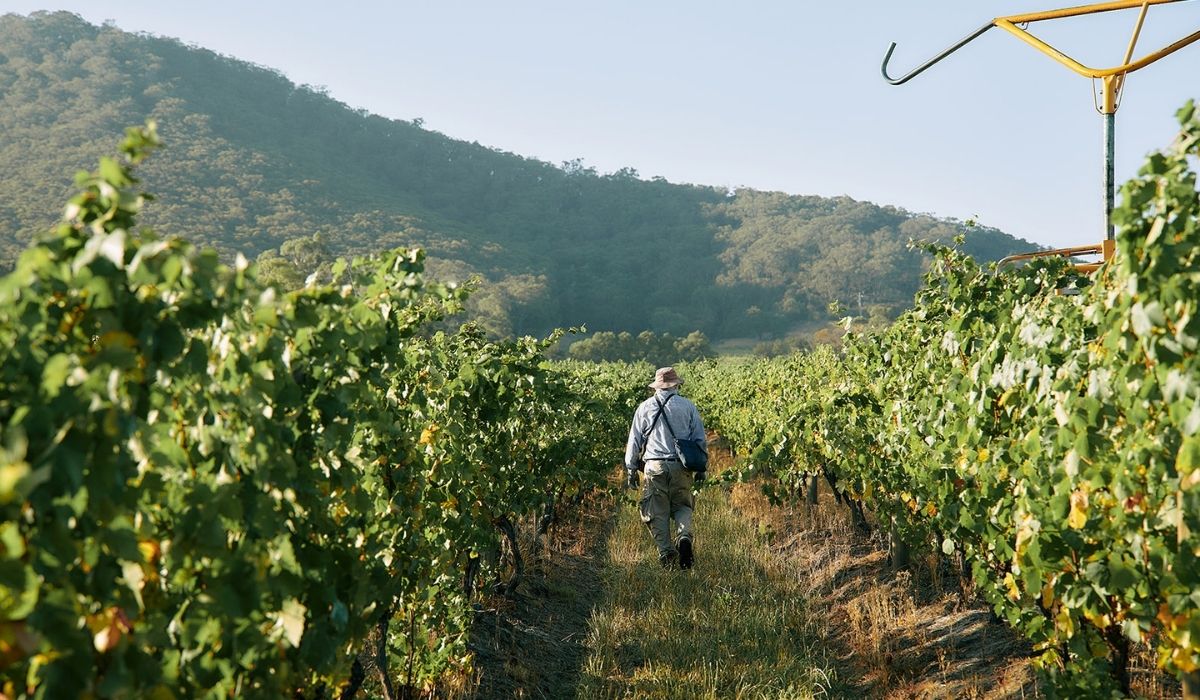 the 100 best wineries australia