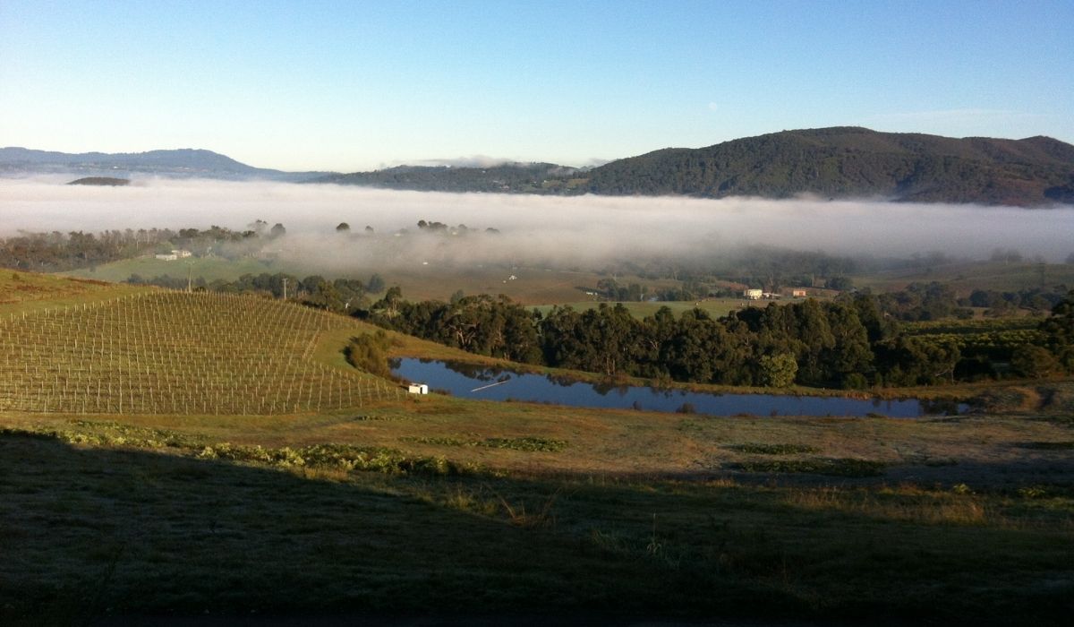 the 100 best wineries australia