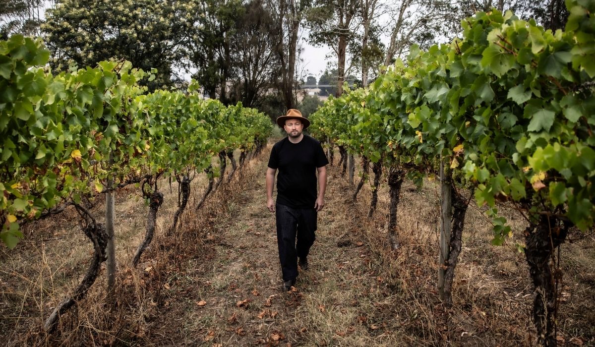 the 100 best wineries australia
