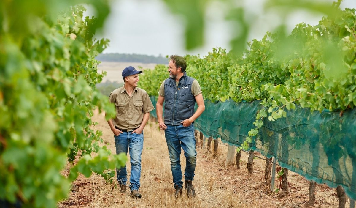 the 100 best wineries australia