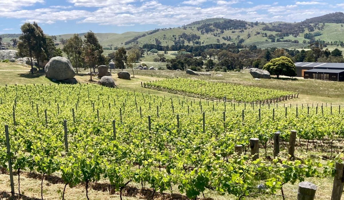 the 100 best wineries australia