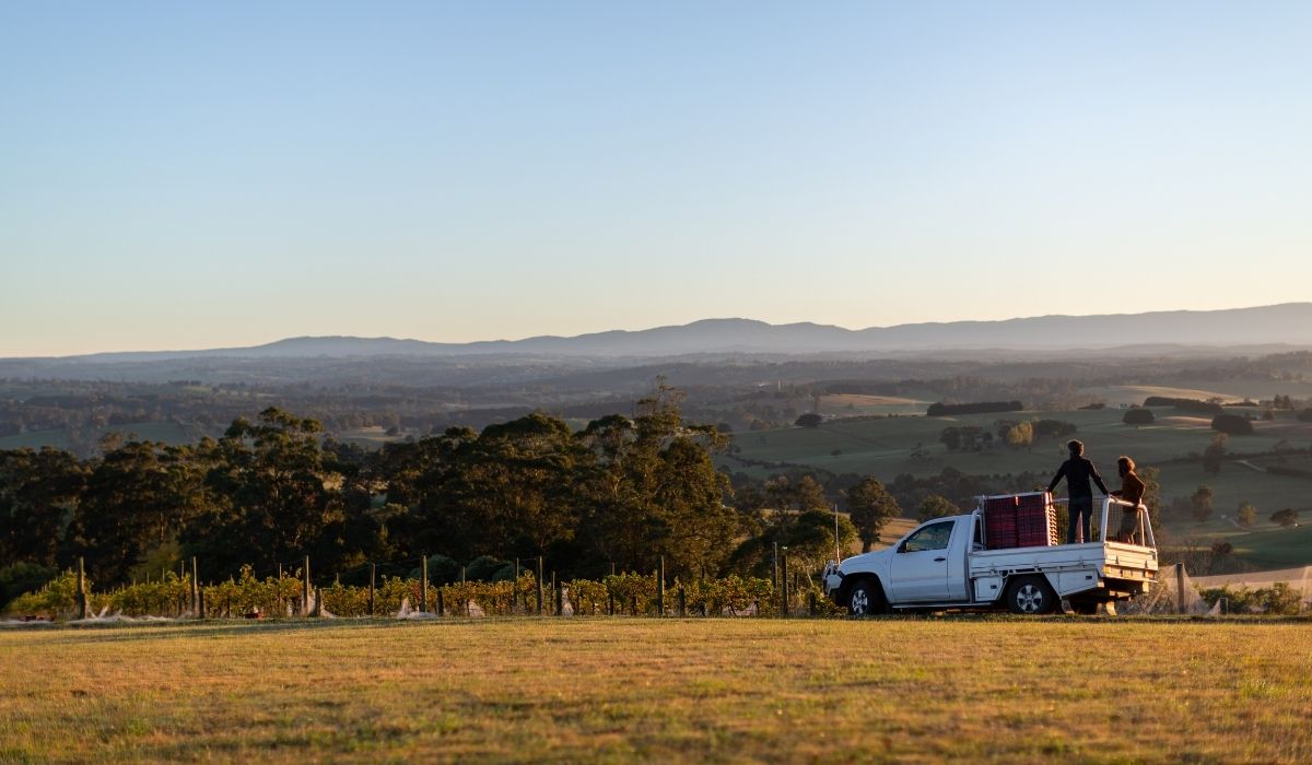 the 100 best wineries australia
