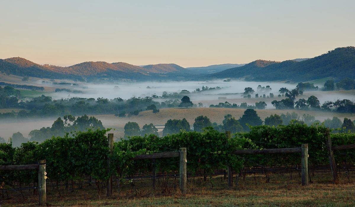 the 100 best wineries australia