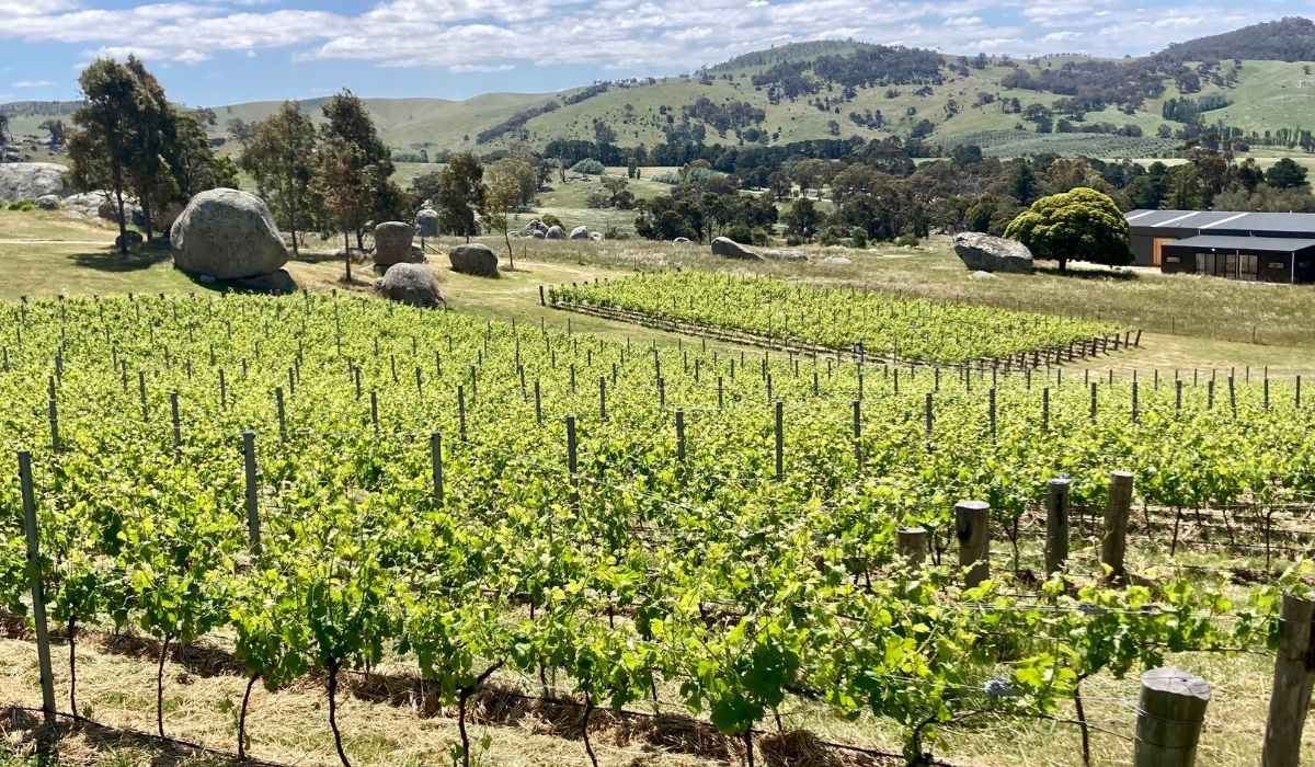 the 100 best wineries australia