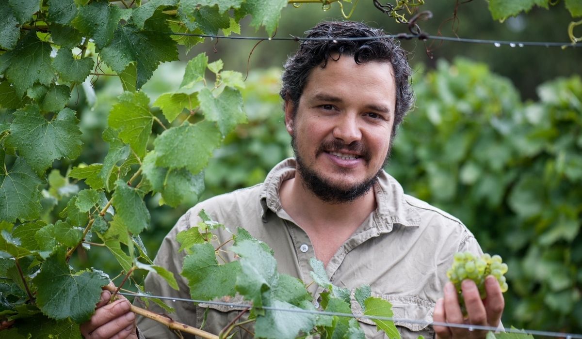 the 100 best wineries australia